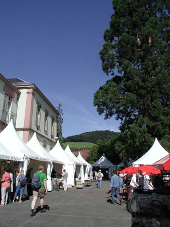 eine der vielen Gassen