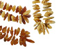 assorti (mixte) ArtNr.: 50202-Mix