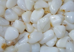 Opal de lait TS, 0.5 kg