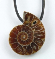 Ammonite polished, drilled Madagascar