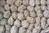 Roses des sables nature 2-3 cm, Mexique