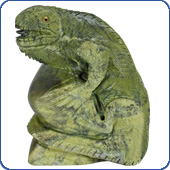 Iguanas