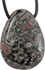 Seelilie/Trochit ArtNr.: 50001-CRIN