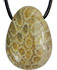 fossilized Coral ArtNr.: 50004-KORA