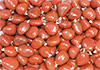 Jaspis rot ArtNr.: 50300-RJ