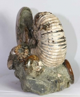 Ammoniten Skulptur Ammo34