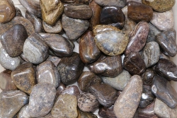 Bronzit Trommelsteine B-Qualität