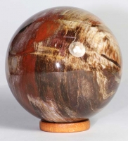 Versteinertes Holz Kugel Nr. 24