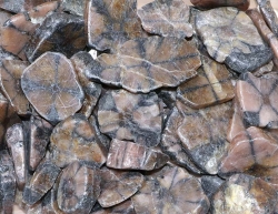 Chiastolite pierres roules Freeform Slabs, B-qualit