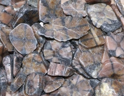 Chiastolith Trommelsteine Freeform Slabs B-Qualitt