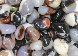 Sardonyx Trommelsteine B-Qualit�t