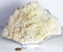 Cristal de Roche et Calcite, Bulgarie No. MA14