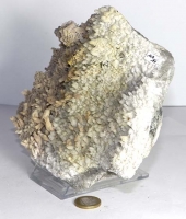 Cristal de Roche et Calcite, Bulgarie No. MA14