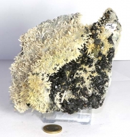 Bergkristall & Zinkblende & Pyrit Nr. 15