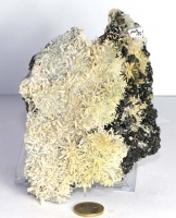 Bergkristall & Zinkblende & Pyrit Nr. 15