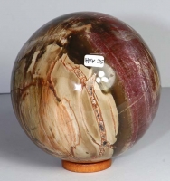 Boule Bois fossilis No. 25