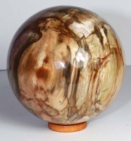 Boule Bois fossilis No. 25