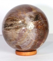 Versteinertes Holz Kugel Nr. 35