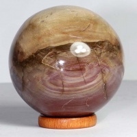 Versteinertes Holz Kugel Nr. 38