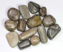 Dinosaurier-Knochen Trommelsteine B-Qualit�t