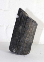 Turmalin schwarz (Schrl) Rohstein Nr. 49