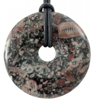 Donut 40 mm Seelilie/Trochit (LOT112)