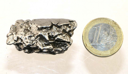 Meteorit Nr. 313