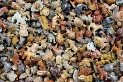 Speckstein Tiere 5 cm (10 Stck) AUSVERKAUF !!