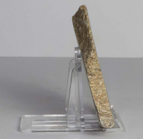 Dinosaurier-Knochen Scheibe poliert Nr. 59