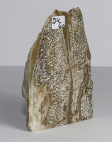 Dinosaurier-Knochen Scheibe poliert Nr. 60