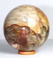 Versteinertes Holz Kugel Nr. 40
