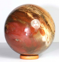 Versteinertes Holz Kugel Nr. 40