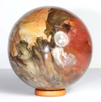 Versteinertes Holz Kugel Nr. 40