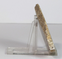 Dinosaurier-Knochen Scheibe poliert Nr. 64