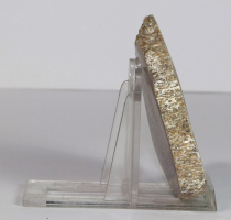 Dinosaurier-Knochen Scheibe poliert Nr. 65