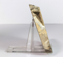 Dinosaurier-Knochen Scheibe poliert Nr. 66