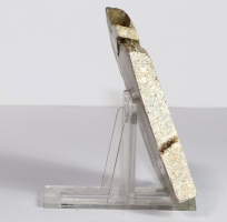 Dinosaurier-Knochen Scheibe poliert Nr. 68