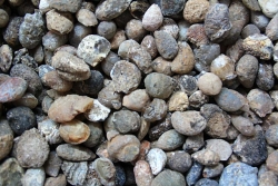 Nussgeoden (Occo's) geschlossen