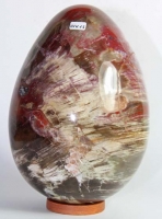 Versteinertes Holz Ei Nr. 13