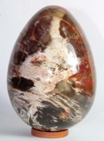 Versteinertes Holz Ei Nr. 13