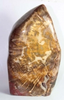 Freeform versteinertes Holz Nr. 1