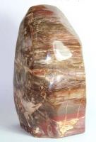 Freeform versteinertes Holz Nr. 1