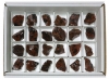 Boîte de Obsidienne acajou (24 pièces)