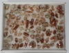 Box of Aragonite Crystals  B-quality