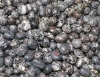 Almandin (Granat) in Pyroxenit-Matrix Trommelsteine B-Qualitt