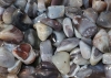 Botswana-Achat Trommelsteine B-Qualitt