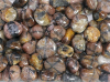Chiastolith Trommelsteine
