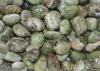Vsuvianite pierres roules B-Qualit
