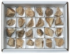 Box Picture Jasper (24 pieces)