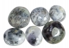 Dendritic Agate Tumbled Stones XL (Pebbles)